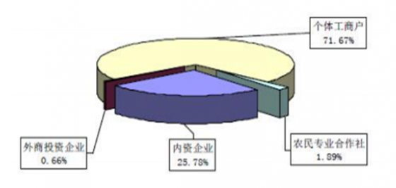 嘉聯(lián)支付pos機(jī)投資 嘉聯(lián)支付有限公司重慶一級(jí)代理